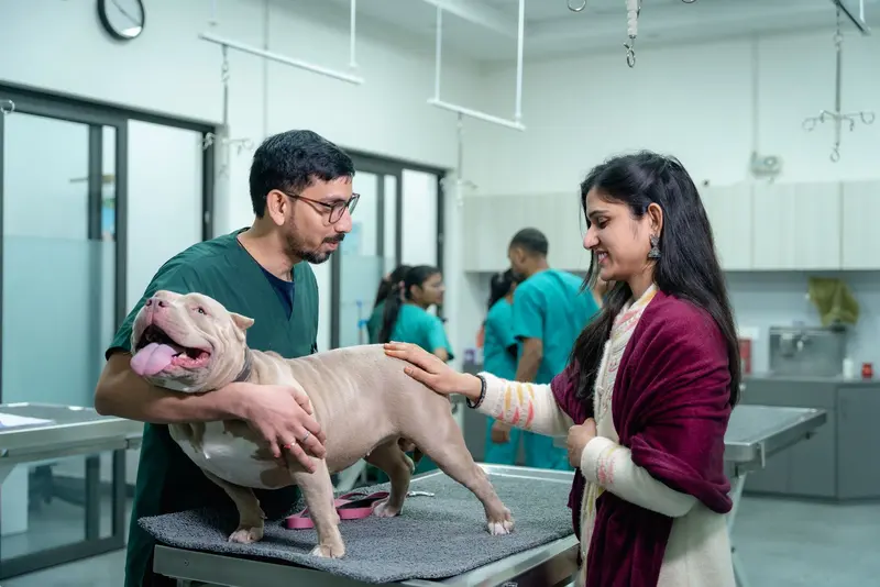 A clinic team member examines a dog with its owner present
