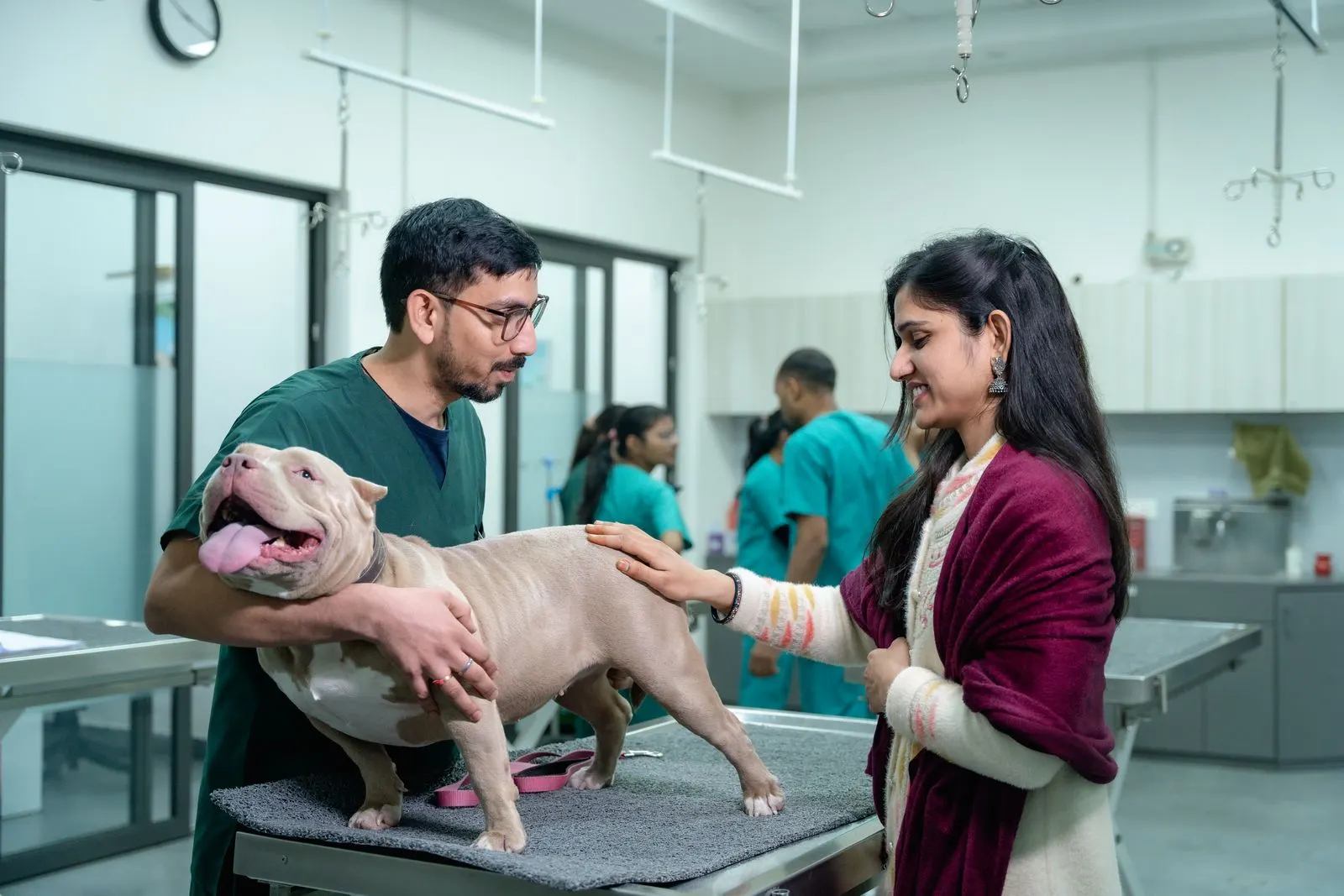 A clinic team member examines a dog with its owner present