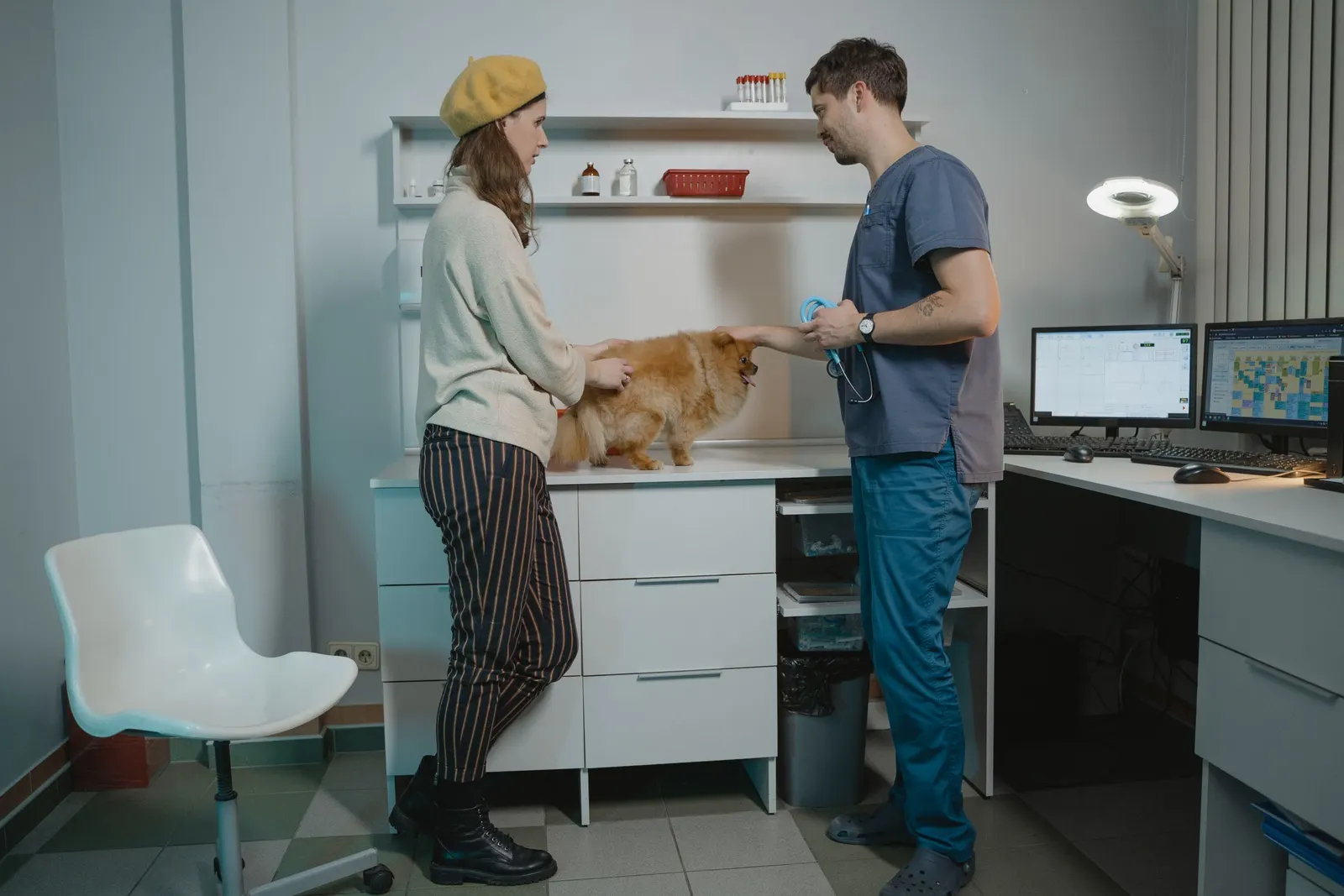 A pet owner and a veterinary team member talk in a clinic treatment room