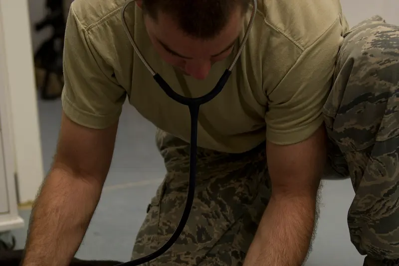 A technician listens to a dog's heart with a stethoscope on the clinic floor